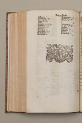 topo-hass-page-0306