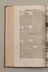 topo-hass-page-0040