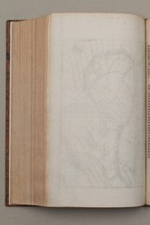 topo-germ-page-0338