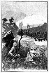 Die beiden Männer sahen sich von einem Theile der Bravos-Indianer angegriffen. (S. 120.)