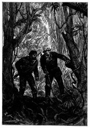 Gilbert und Mars drangen unter die Bäume ein. (S. 308.)