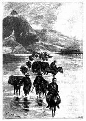 Lange Reihen von Pferden und Mauleseln, die durch das Wasser waten. (S 181.)