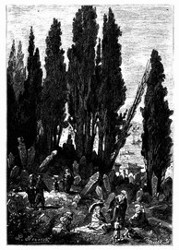 Der Friedhof in Scutari (S. 386.)