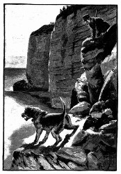 Der Instinkt der Doggen würde sie nach dem Fuße des Steilufers treiben. (S. 378.)
