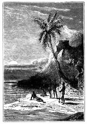 Die Insel Vanikoro. (S. 159.)