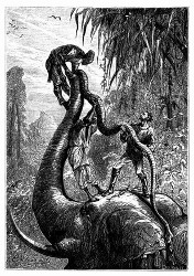 Es gelang Goûmi, das gewaltige Reptil herauszuziehen. (S. 307.)
