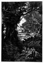 Im Schatten riesiger Baobabs... (S. 166.)