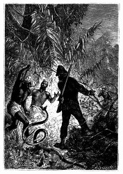 Das giftige Reptil schlängelte sich gerade auf den Oberst zu. (S. 242.)