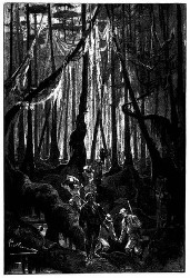 Der große Cypressenwald. (S. 335.)