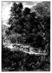 Der Fahrweg verlief längs des Saumes prächtiger Wälder. (S. 339.)