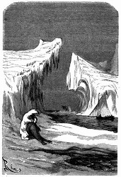 Wie der Polarbär Robben fängt. (S. 427.)