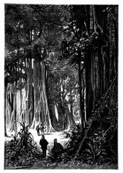 Die Haltestelle lag am Saume eines Waldes. (S. 147.)